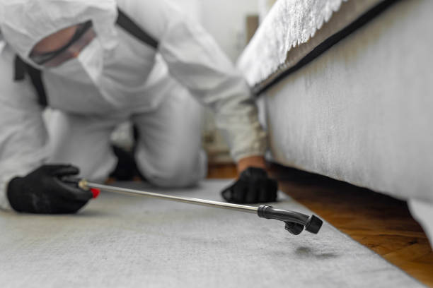 Professional Bed Bug Control technician working in Harristown, IL