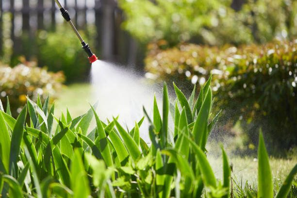 24/7 Emergency Bed Bug Control experts in Harristown, IL