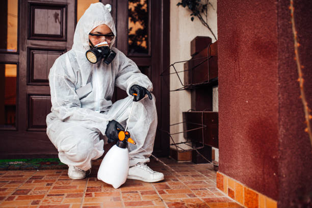 Reliable Bed Bug Control contractor in Harristown, IL by Nex Pest Control