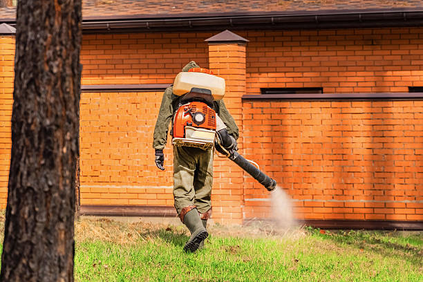 Trusted Termite Control service in Harristown, IL - Nex Pest Control